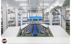 The Future of Automation in Meat Processing: What to Expect