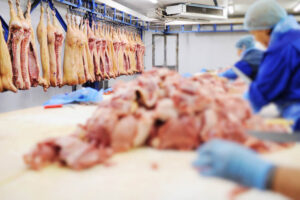 Top Abattoir Tools for Efficient Meat Processing in Ireland